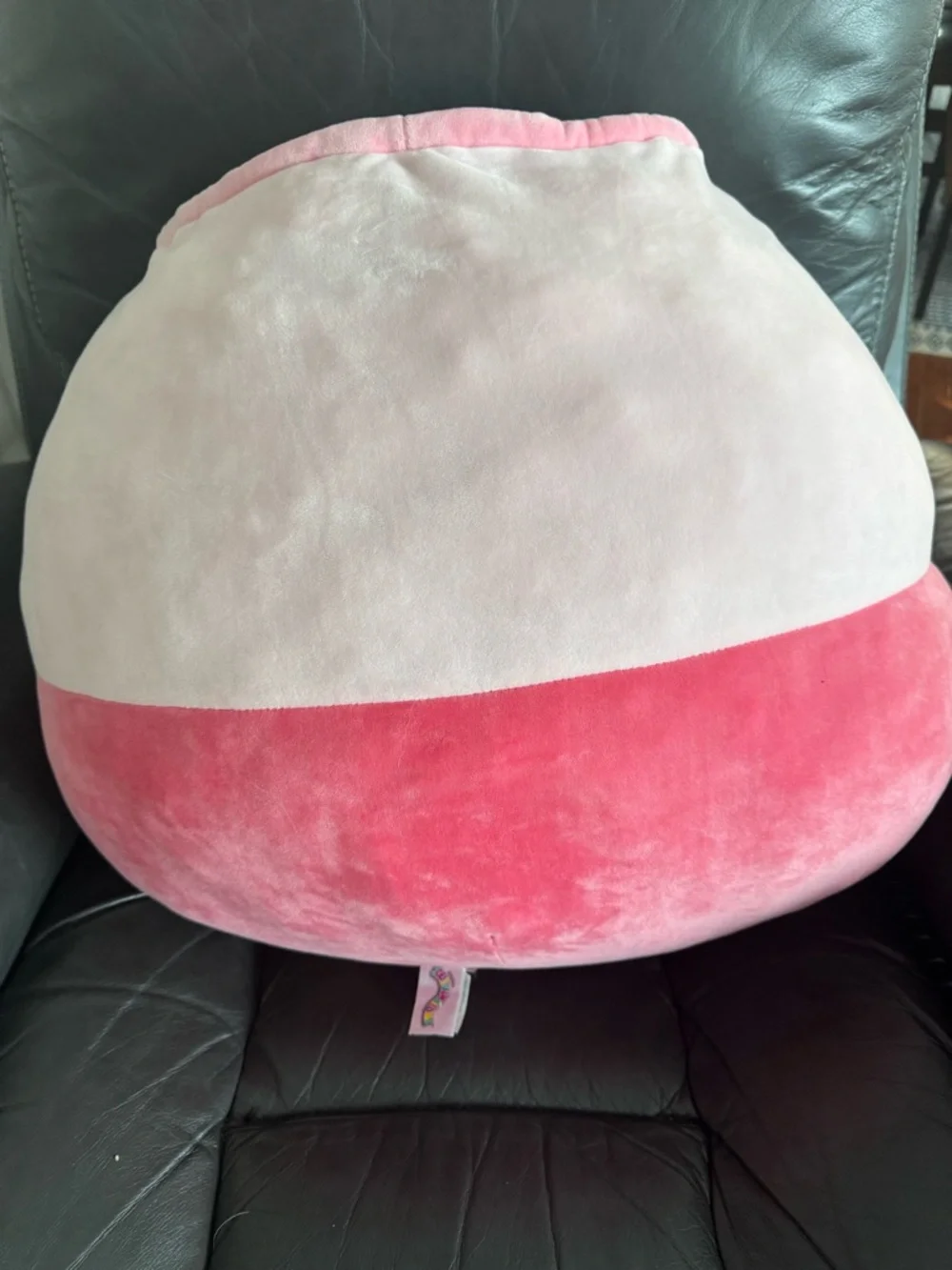 Squishmellow 24 inch Emory‎ the Latte